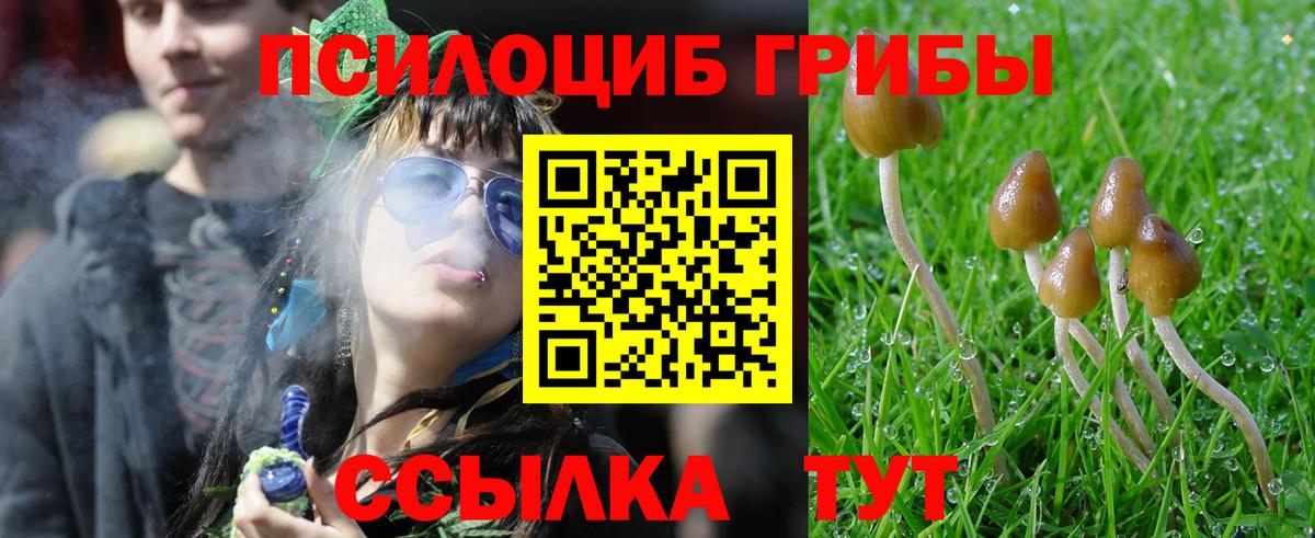 Псилоцибиновые грибы ЛСД  Вход с VPN  Орёл  Галлюциногенные грибы Cubensis 