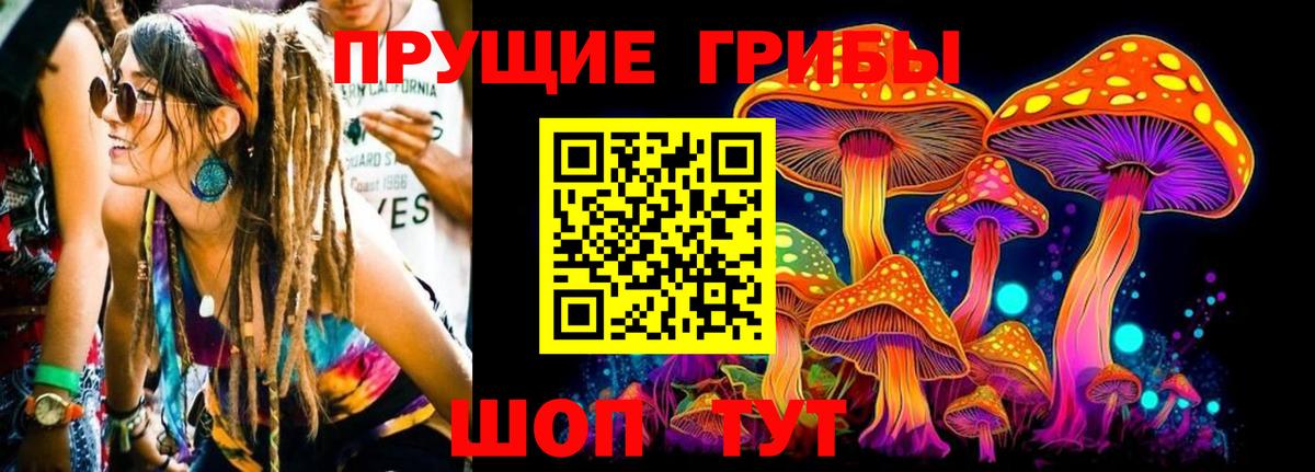 Псилоцибиновые грибы прущие грибы Орёл